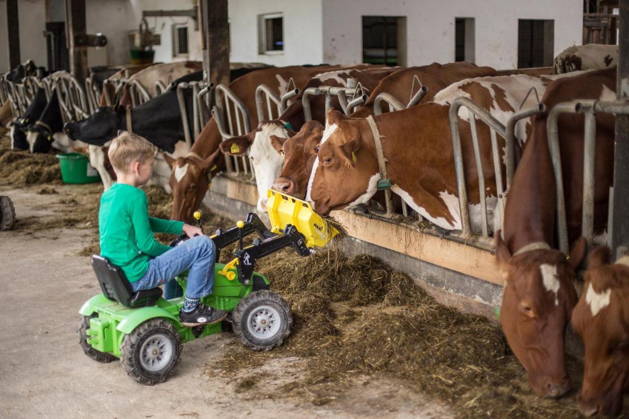 Ferienhof Richard Lennestadt Buitenkant foto